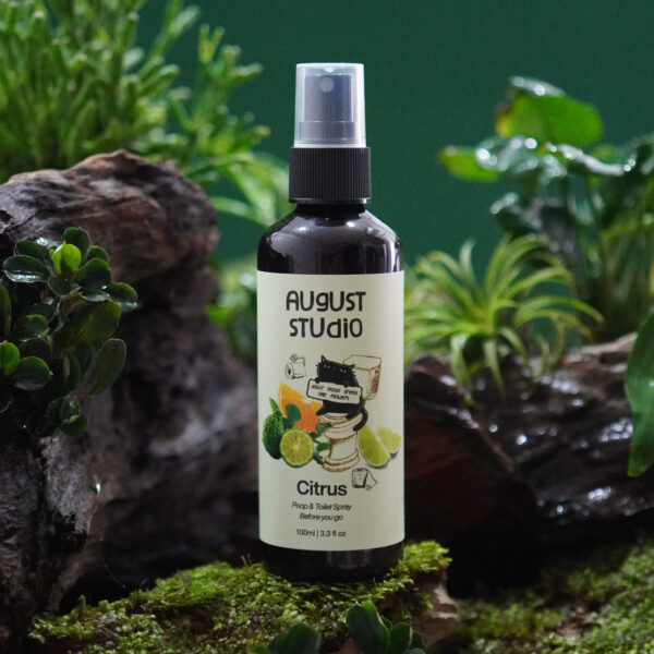Xịt Khử Mùi Vệ Sinh Poop & Toilet Spray Before You Go Citrus – August Studio | Tươi Mát, Khử Mùi Tức Thì