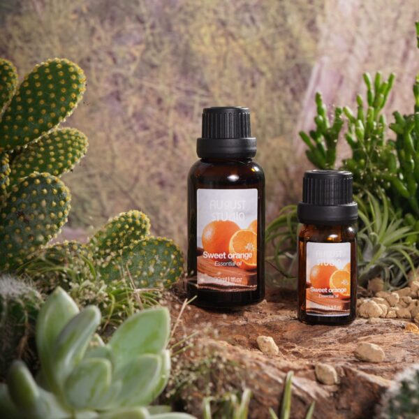 Tinh Dầu Thiên Nhiên Cam Ngọt (Sweet Orange) – August Studio | Thư Giãn, Tươi Mới, Làm Dịu Tâm Trạng