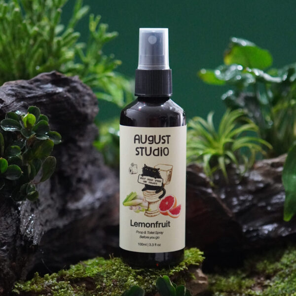 Xịt Khử Mùi Vệ Sinh Poop & Toilet Spray Before You Go Lemonfruit – August Studio | Hương Tinh Dầu Thiên Nhiên, Khử Mùi Tức Thì