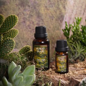 Tinh Dầu Thiên Nhiên Xô Thơm (Clary Sage) – August Studio | An Thần, Thư Giãn, Cân Bằng Tự Nhiên