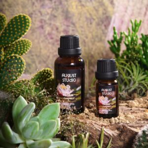Tinh Dầu Thiên Nhiên Hoa Sen (Lotus) – August Studio | Hương Nhẹ Dịu, Thư Giãn, Thanh Lọc Không Gian