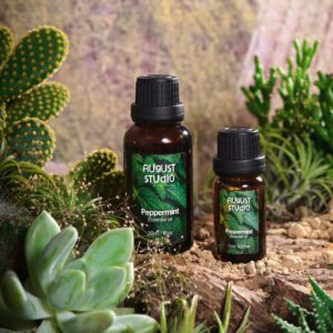 Tinh Dầu Bạc hà - Peppermint August studio, 100% Nguyên chất từ thiên nhiên