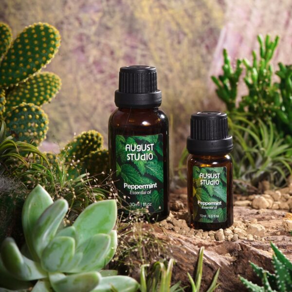 Tinh Dầu Bạc hà - Peppermint August studio, 100% Nguyên chất từ thiên nhiên