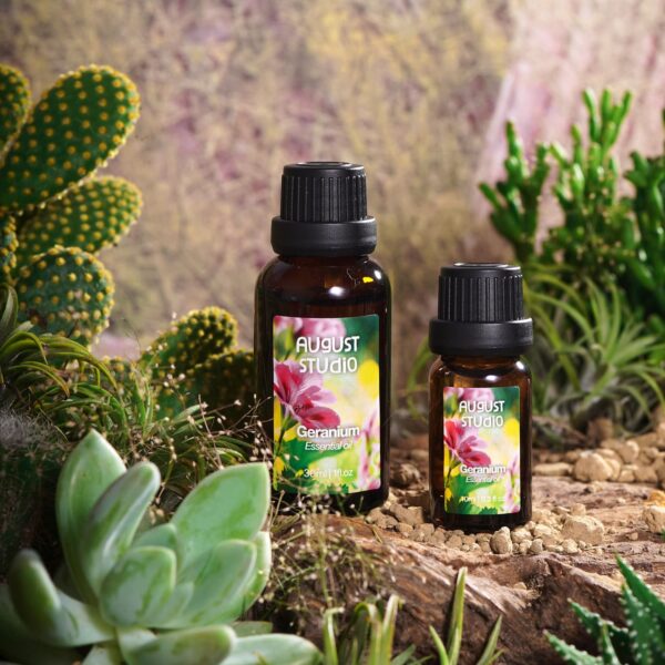 Tinh Dầu Thiên Nhiên Phong Lữ (Geranium) – August Studio | Dịu Nhẹ, Cân Bằng Cảm Xúc, Hỗ Trợ Giấc Ngủ