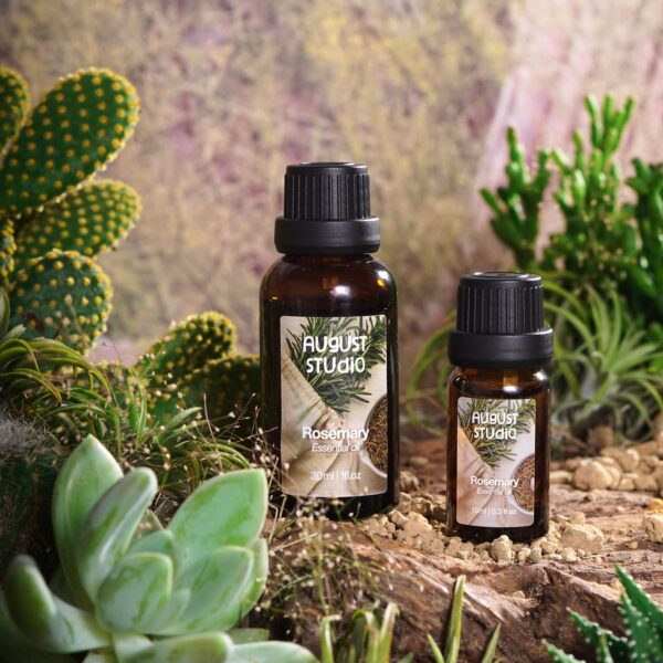 Tinh Dầu Thiên Nhiên Hương Thảo (Rosemary) – August Studio | Tỉnh Táo, Tăng Tập Trung, Thanh Lọc Không Khí