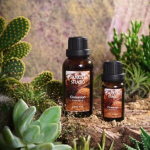 Tinh Dầu Thiên Nhiên Quế (Cinnamon) – August Studio | Ấm Nồng, Kháng Khuẩn, Khử Mùi Tự Nhiên