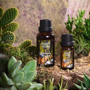 Tinh Dầu Thiên Nhiên Bạch Đàn Chanh (Eucalyptus Citriodora) – August Studio | Nguyên Chất, Kháng Khuẩn, Đuổi Côn Trùng