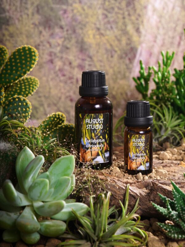 Tinh Dầu Thiên Nhiên Bạch Đàn Chanh (Eucalyptus Citriodora) – August Studio | Nguyên Chất, Kháng Khuẩn, Đuổi Côn Trùng