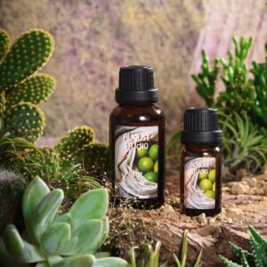 Tinh Dầu Thiên Nhiên Chanh Sần (Lime) – August Studio | Tươi Mát, Thanh Lọc, Khử Mùi Hiệu Quả