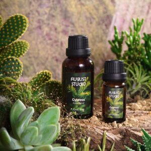 Tinh dầu Trắc bách diệp - Cypress August studio, 100% Nguyên chất từ thiên nhiên