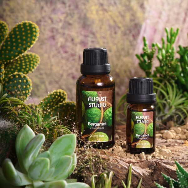 Tinh Dầu Thiên Nhiên Cam Hương (Bergamot) – August Studio | Ngọt Dịu, Thư Giãn, Cân Bằng Cảm Xúc