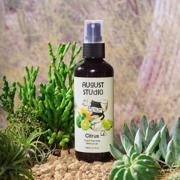 Xịt Khử Mùi Vệ Sinh Poop & Toilet Spray Before You Go Citrus – August Studio | Tươi Mát, Khử Mùi Tức Thì