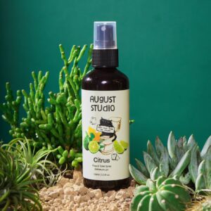 Xịt Khử Mùi Vệ Sinh Poop & Toilet Spray Before You Go Citrus – August Studio | Tươi Mát, Khử Mùi Tức Thì