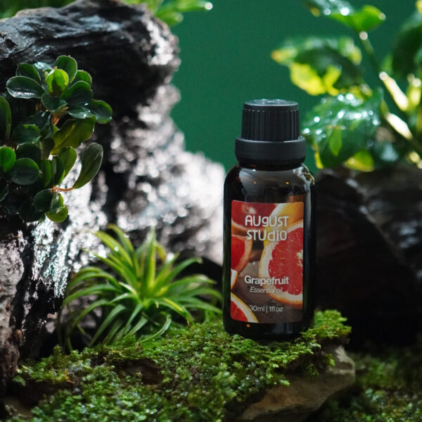 Tinh Dầu Thiên Nhiên Bưởi (Grapefruit) – August Studio | Tươi Mát, Thanh Lọc, Phục Hồi Năng Lượng