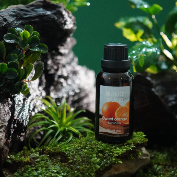 Tinh Dầu Thiên Nhiên Cam Ngọt (Sweet Orange) – August Studio | Thư Giãn, Tươi Mới, Làm Dịu Tâm Trạng