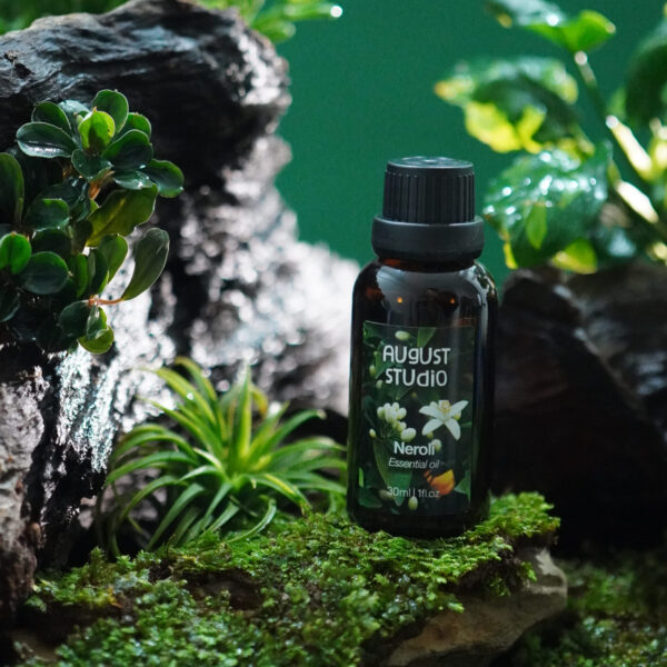 Tinh Dầu Thiên Nhiên Hoa Cam (Neroli) – August Studio | Dịu Nhẹ, An Thần, Cân Bằng Cảm Xúc