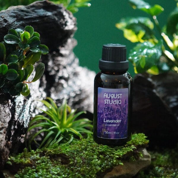 Tinh Dầu Thiên Nhiên Oải Hương (Lavender) – August Studio | Nguyên Chất, Thư Giãn, Cân Bằng Giấc Ngủ