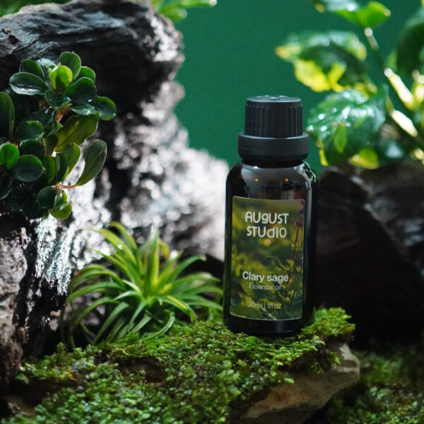 Tinh Dầu Thiên Nhiên Xô Thơm (Clary Sage) – August Studio | An Thần, Thư Giãn, Cân Bằng Tự Nhiên