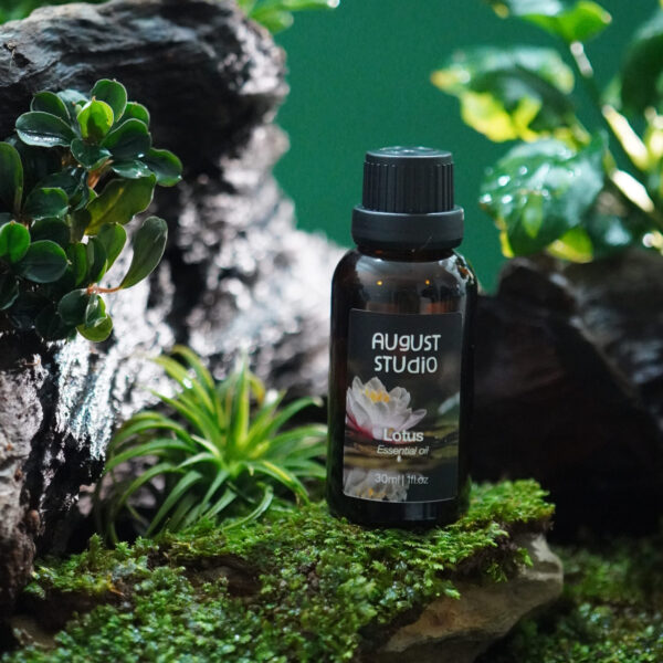 Tinh Dầu Thiên Nhiên Hoa Sen (Lotus) – August Studio | Hương Nhẹ Dịu, Thư Giãn, Thanh Lọc Không Gian