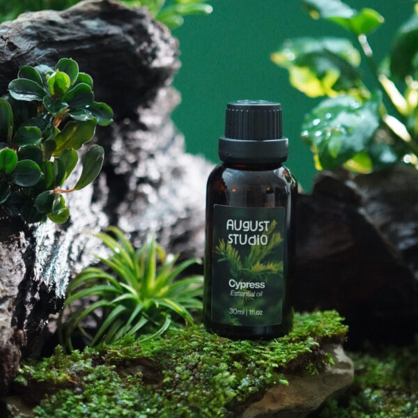 Tinh Dầu Thiên Nhiên Trắc Bách Diệp (Cypress) – August Studio | Nguyên Chất, Thư Giãn, Khử Mùi