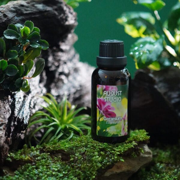 Tinh Dầu Thiên Nhiên Phong Lữ (Geranium) – August Studio | Dịu Nhẹ, Cân Bằng Cảm Xúc, Hỗ Trợ Giấc Ngủ