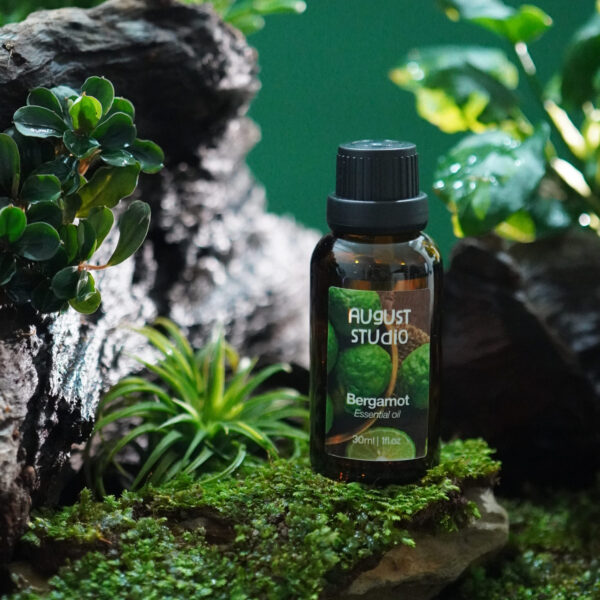 Tinh Dầu Thiên Nhiên Cam Hương (Bergamot) – August Studio | Ngọt Dịu, Thư Giãn, Cân Bằng Cảm Xúc