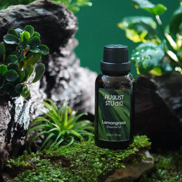 Tinh Dầu Thiên Nhiên Sả Chanh (Lemongrass) – August Studio | Nguyên Chất, Sảng Khoái, Đuổi Côn Trùng