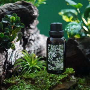 Tinh Dầu Thiên Nhiên Hoa Nhài (Jasmine) – August Studio | Nguyên Chất, Dịu Nhẹ, Cân Bằng Cảm Xúc