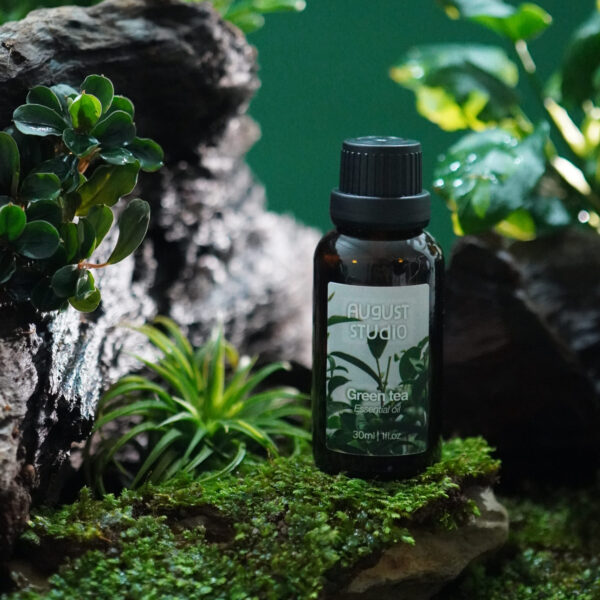 Tinh Dầu Thiên Nhiên Trà Xanh (Green Tea) – August Studio | Tươi Mát, Tinh Khiết, Giải Tỏa Căng Thẳng