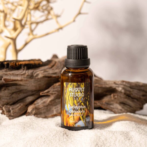 Tinh Dầu Thiên Nhiên Bạch Đàn Chanh (Eucalyptus Citriodora) – August Studio | Nguyên Chất, Kháng Khuẩn, Đuổi Côn Trùng