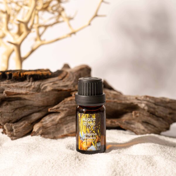 Tinh Dầu Thiên Nhiên Bạch Đàn Chanh (Eucalyptus Citriodora) – August Studio | Nguyên Chất, Kháng Khuẩn, Đuổi Côn Trùng