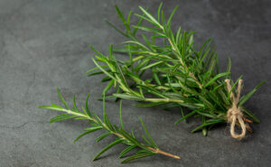 Tinh Dầu Thiên Nhiên Hương Thảo (Rosemary) – August Studio