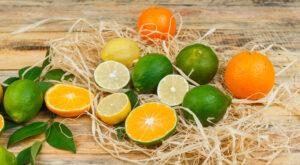 Xịt khử mùi vệ sinh kết hợp giữa cam – chanh – bưởi vàng và một chút dịu nhẹ từ oải hương