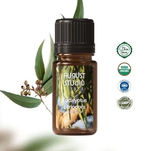 Tinh Dầu Thiên Nhiên Bạch Đàn Chanh (Eucalyptus Citriodora) – August Studio | Nguyên Chất, Kháng Khuẩn, Đuổi Côn Trùng
