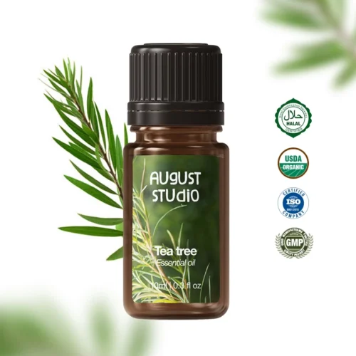 Tinh Dầu Thiên Nhiên Tràm Trà (Tea Tree) – August Studio | Làm Sạch, Kháng Khuẩn, Thanh Lọc Không Gian