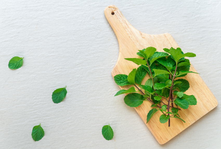 Peppermint đã được con người sử dụng từ hàng ngàn năm