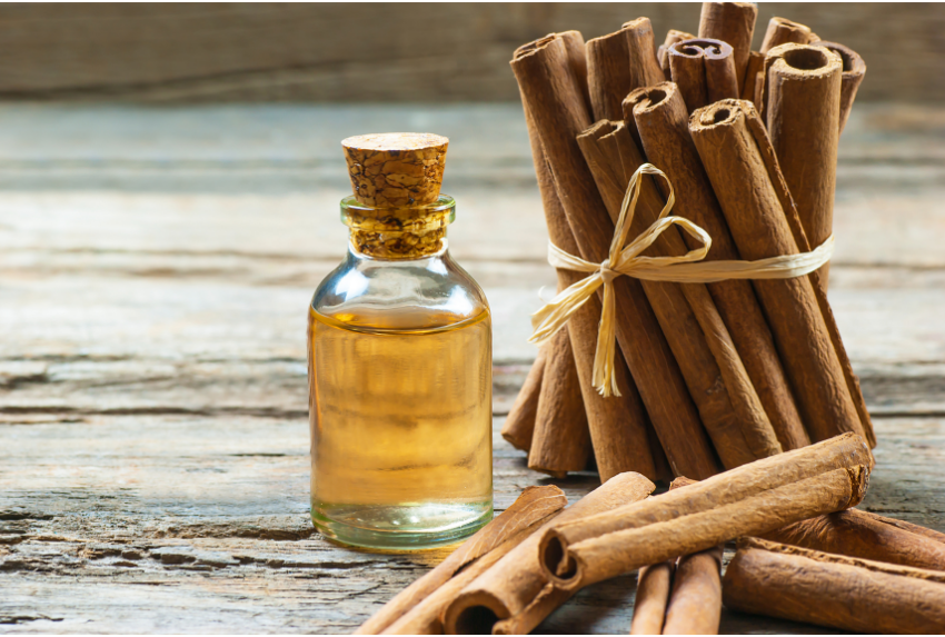  Lưu ý khi sử dụng tinh dầu quế
