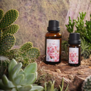 Tinh Dầu Hoa Hồng (Rose) – August Studio | Hương Nữ Tính, Ngọt Ngào, Lãng Mạn