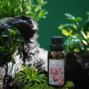Tinh Dầu Hoa Hồng (Rose) – August Studio | Hương Nữ Tính, Ngọt Ngào, Lãng Mạn