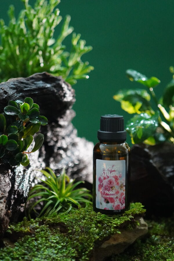 Tinh Dầu Hoa Hồng (Rose) – August Studio | Hương Nữ Tính, Ngọt Ngào, Lãng Mạn
