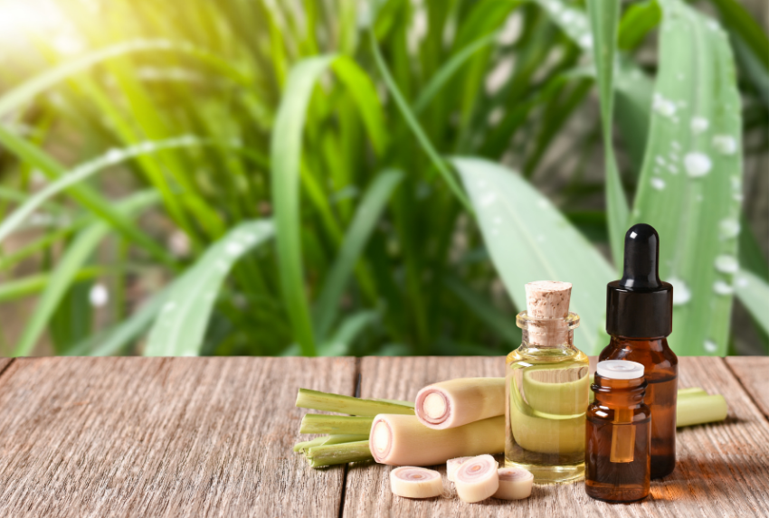 Tinh dầu chanh sả tự làm