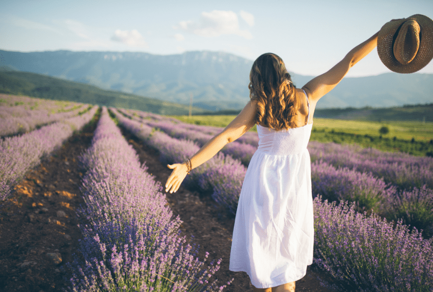 Biểu tượng tinh thần của mùi hương hoa oải hương