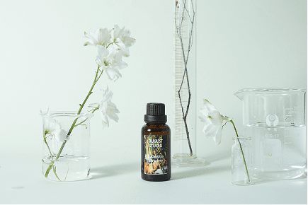 Nhóm hương thảo mộc