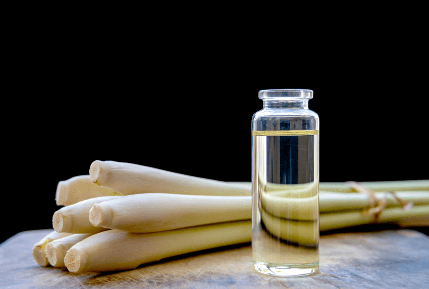 Tinh Dầu Sả Visualize LOA