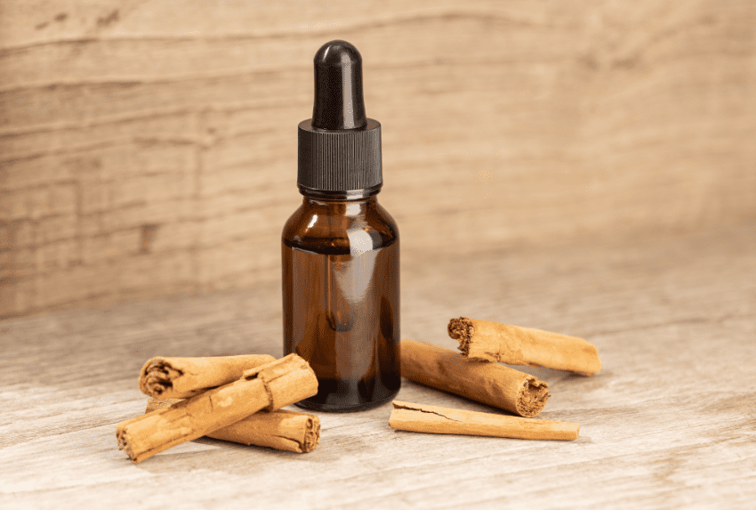 Tinh dầu quế manifest công việc