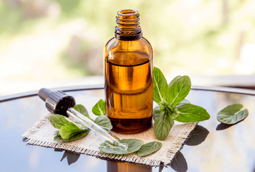 Kết hợp SATS với mùi hương bạc hà